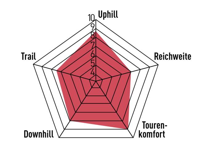 With good climbing characteristics and long-distance genes, the No Pogo F3000i is a strong tourer. However, you shouldn't expect much range from the small battery. Solid on the descents - but there are even stronger bikes out there.