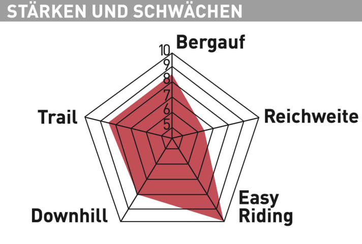 Rotwild R.X 375 Pro - Testdiagramm 