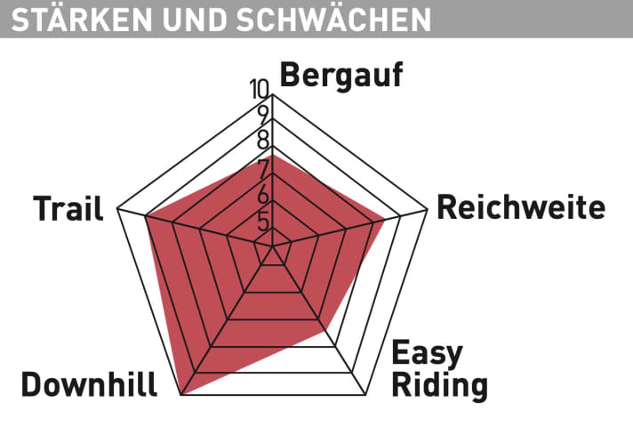 Specialized Turbo Levo Expert - Testdiagramm