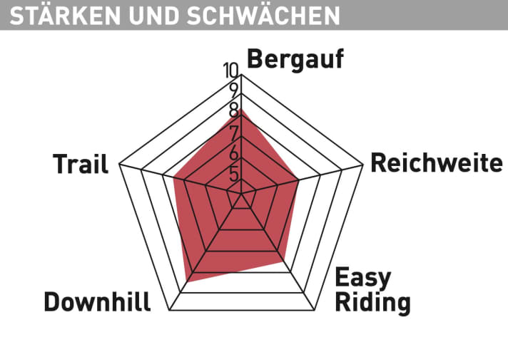 Vitus E-Mythique LT VRX - Test diagram