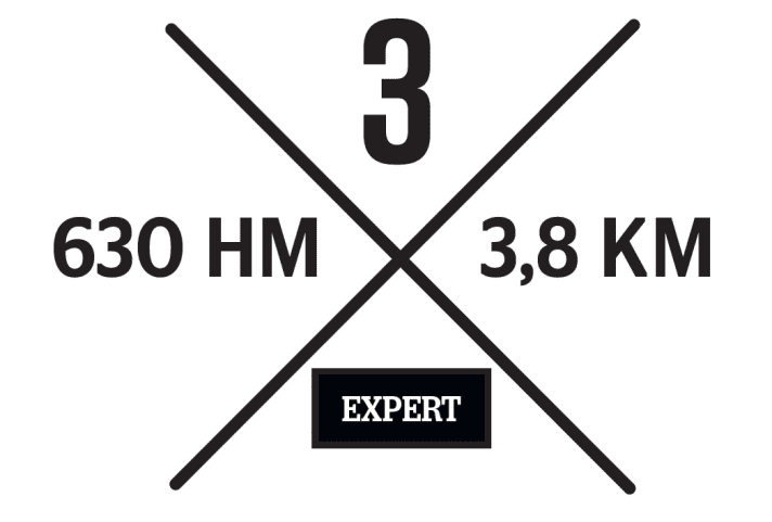   Wurzelmassaker: Haideralm-Trail