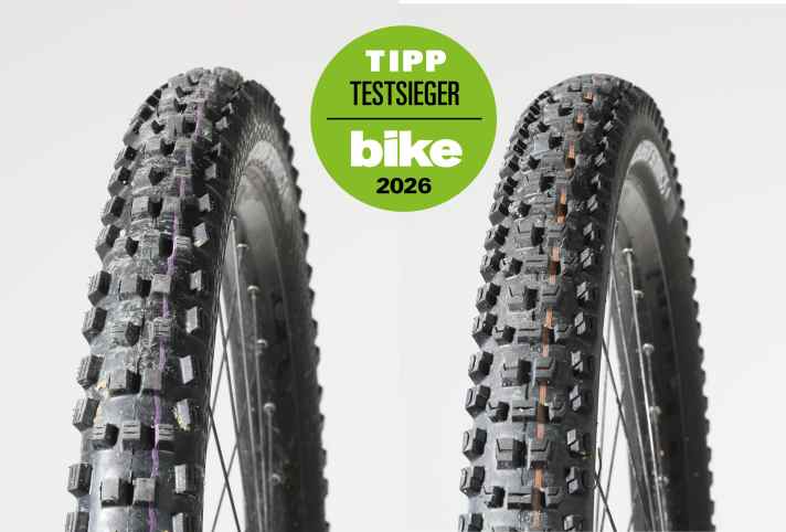 Schwalbe Magic Mary / Albert Radial