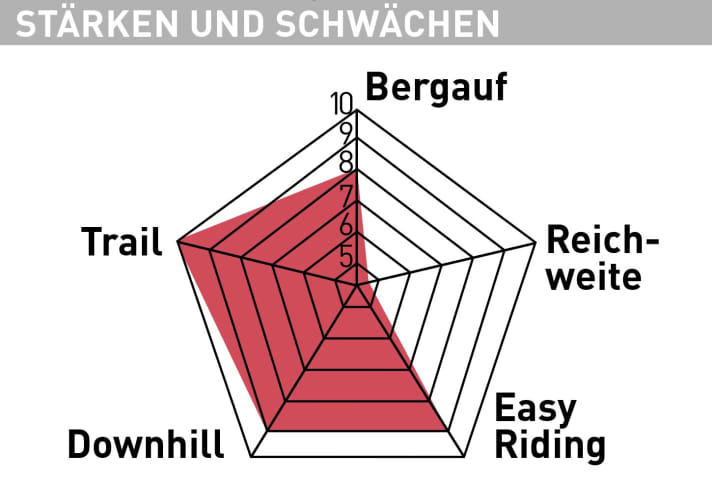 Specialised S-Works Levo SL - Test chart