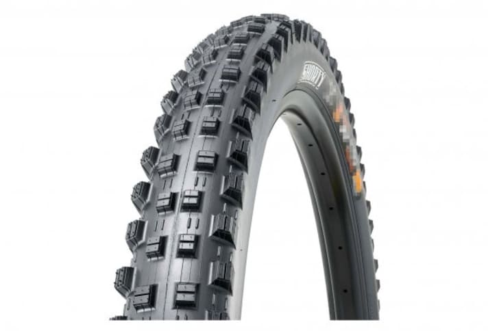 Reduced products: The MAXXIS Shorty