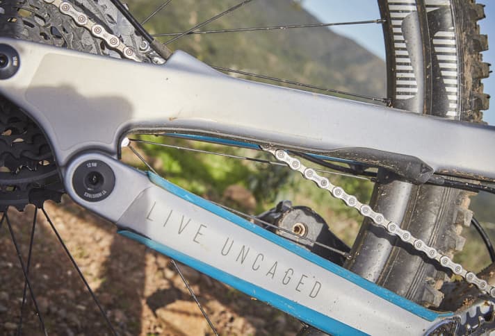   The chainstay protector is very solid. The seat stays are also well padded with rubber.