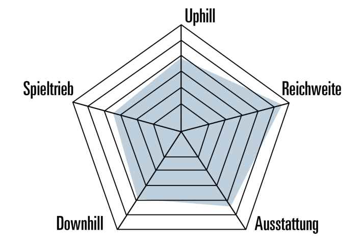 The character of the Radon Deft 9.0 800 in relation to the E-Enduro category.