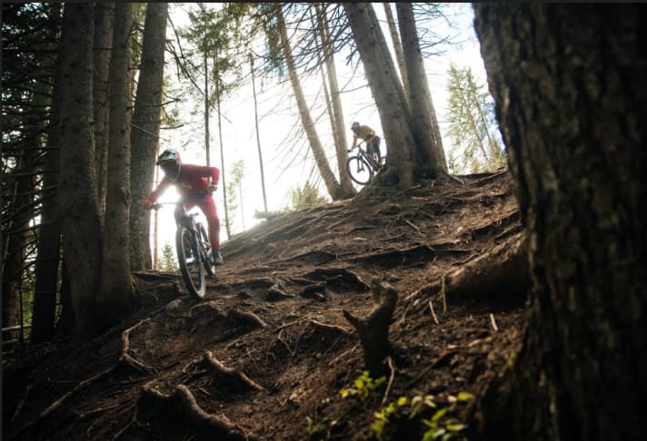 170-millimetre bikes in the test.