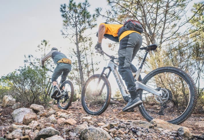 We looked around in three categories: Down Country, Trail and Enduro