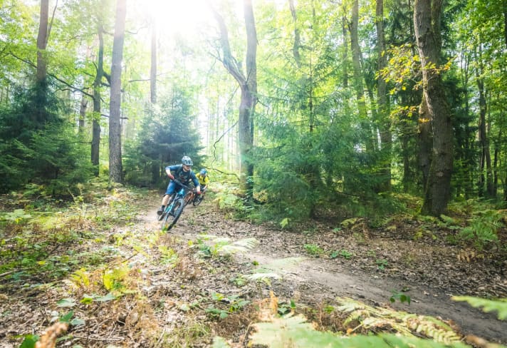 Gold-rush atmosphere: in Saarland, miners once trudged along paths in the forest to get to the coal mines. Today, the kilometre-long nature trails are used for biking - a legal trail paradise in Germany.