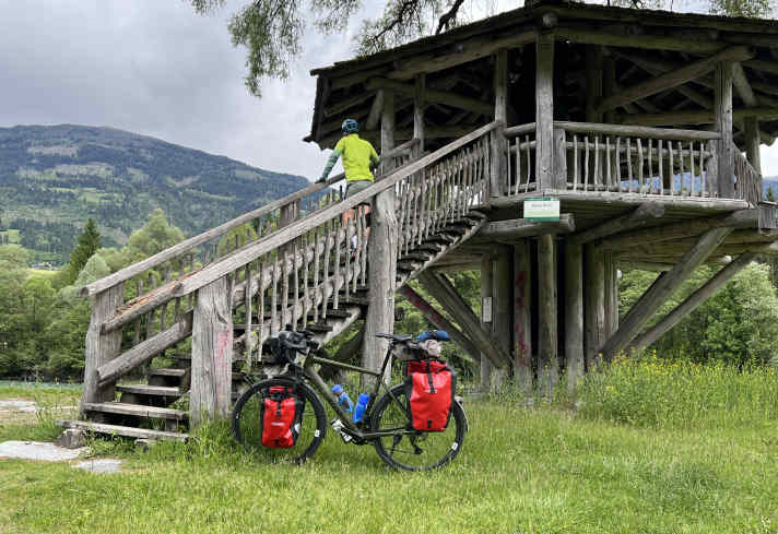 Pause for a moment: From the birdwatching huts you have a good view of the alluvial forests along the Drau.