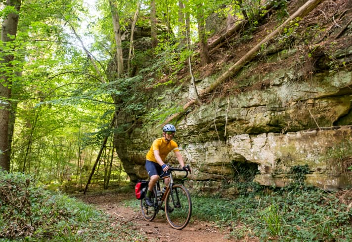 Like a fairytale forest: an adventurous section of the route through the Mullerthal