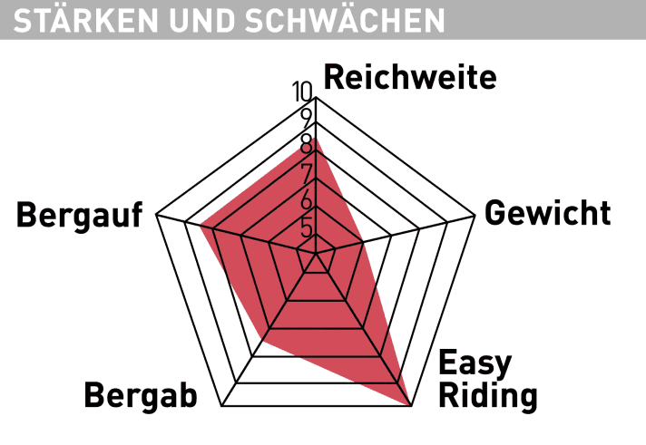 Scott Patron eRide 920 Stärken und Schwächen