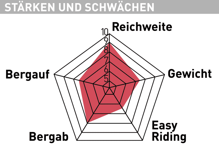 Radon Render 10.0 750 Strengths and weaknesses
