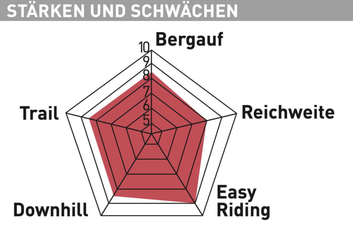 YT Industries Decoy 29 Core 4 - Test diagram