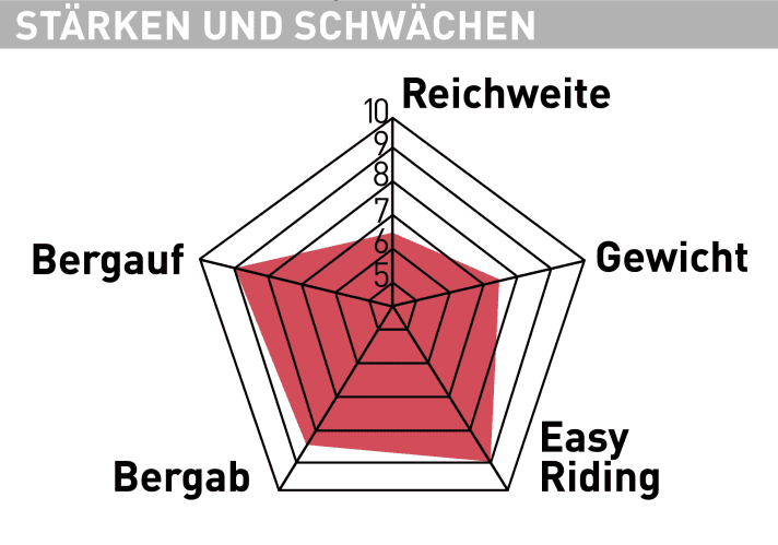 YT Decoy 29 Core 3 Stärken und Schwächen 