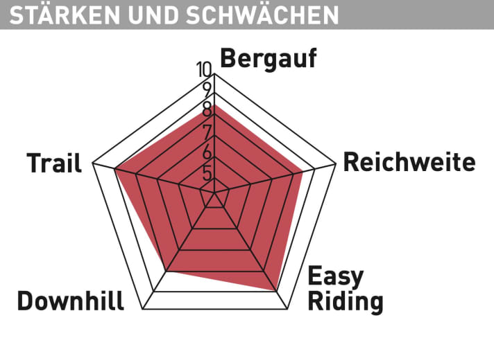 Rotwild R.X 735 Pro - Testdiagramm