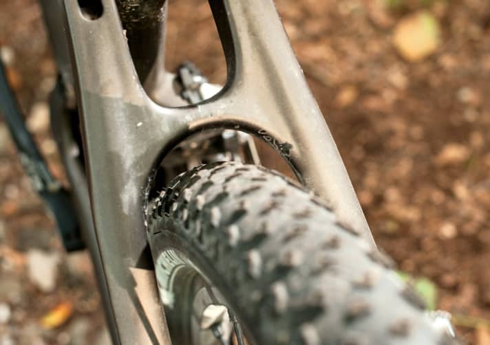   Despite the normal 2.25 tyre width, the odd rock left its mark on the narrow carbon rear triangle of the Canyon Nerve.