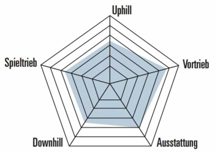 Im Spinnendiagramm wird deutlich: Gravierende Schwächen hat das Storck Rebel Hardtail nicht. Allerdings tut es sich schwer, mit der hochpreisigen Konkurrenz mitzuhalten.