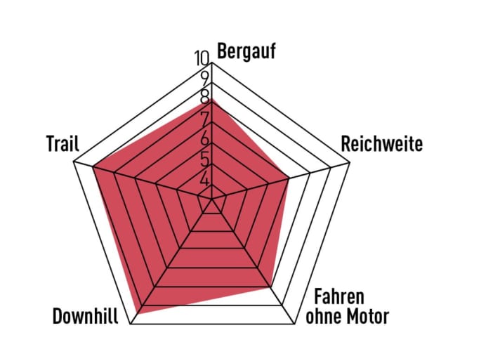 Für Light-Verhältnisse ist der Fazua-Antrieb sehr kräftig und ausdauernd, das macht das Heckler SL vielseitig und kletterstark. Noch mehr Punkte sammelt es allerdings in den Abfahrtsdisziplinen. Ausgewogen!