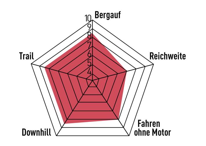 Im Gelände sammelt das Ryvon ST Punkte: Stark bergauf, agil auf dem Trail, souverän im Downhill – ein E‑MTB für sportliche Trail-Biker. Für gemütliche Touren fast zu progressiv ausgelegt.