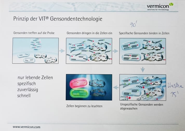 Eighth grade bio: The lock-and-key principle may still be familiar to some.