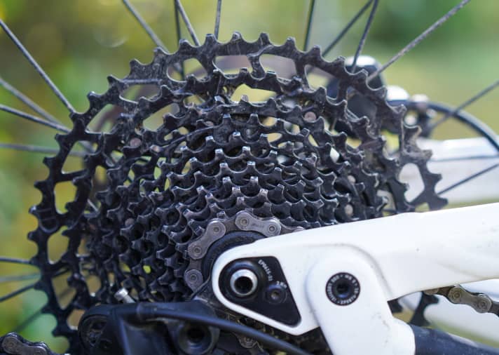 Dental problems? Not a chance. The simple steel cassette has shown clear signs of wear despite being used mainly in the bike park, but will last a while longer.