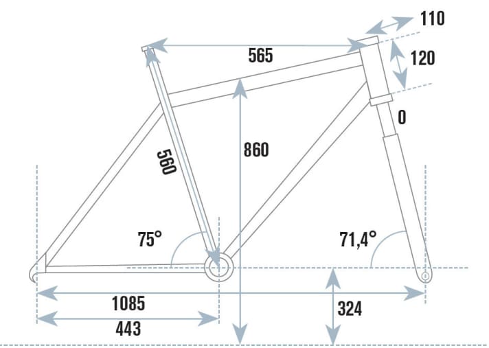   The geometry data of the Koga Beachracer at a glance.