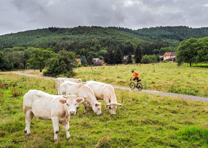 On two one-day tours, MYBIKE author Patrick Kunkel explored the geographical and culinary highlights of the Vallée de la Bruche in the Vosges.