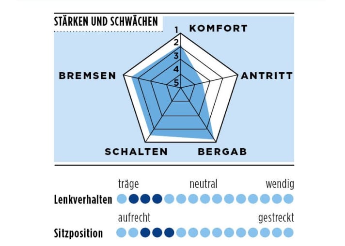 Stärken und Schwächen des Canyon Endurace CF 7 All-Road 