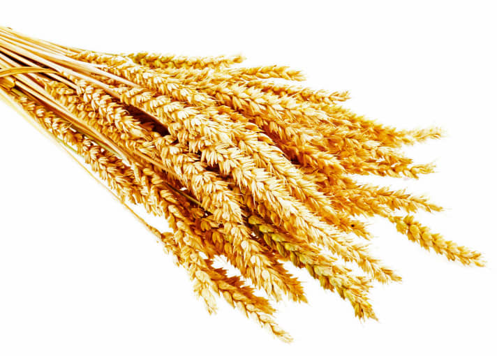   Getreide - das gute Korn
