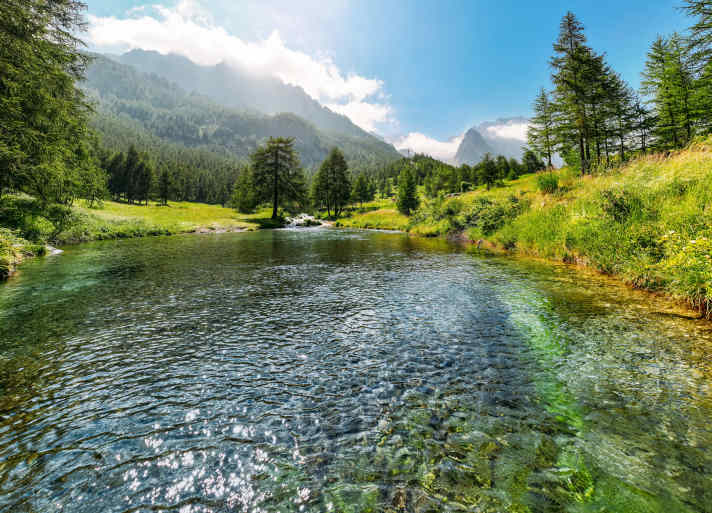 The Maira gushes crystal clear from the ground and then has to collect itself before it meanders tentatively through the wild flowers.