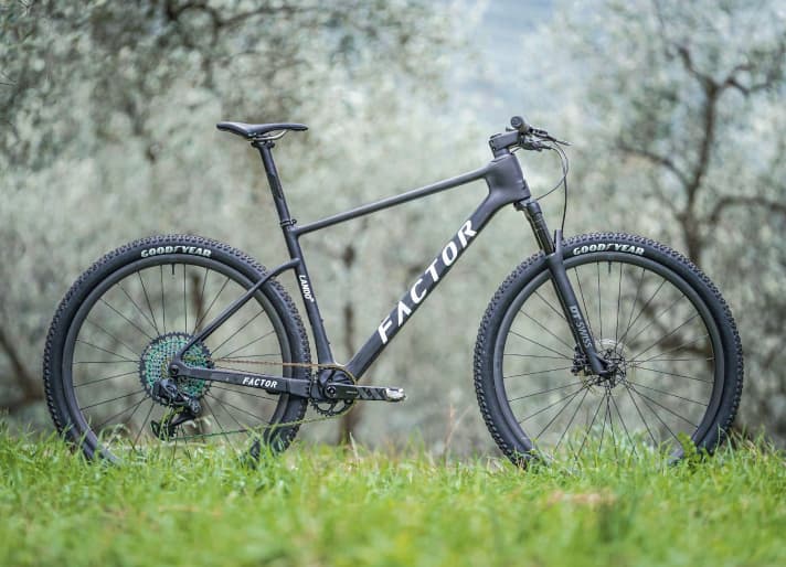 Factor Lando HT: With lots of carbon, it weighs 9.3 kilos ready to ride.