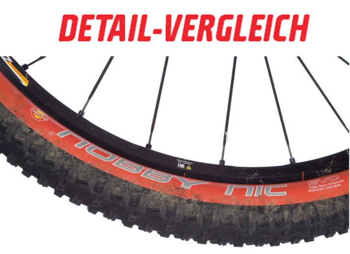   CARBON: 2.25-inch tubeless tyres from Schwalbe increase grip.