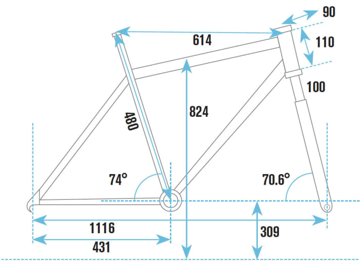   Bulls Black Adder Team