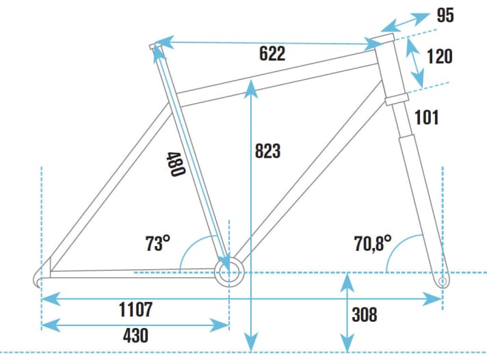   Centurion Backfire Carbon Team.29