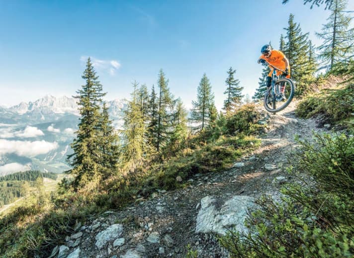Alternative with World Cup downhills, jumplines, flow trails for beginners, uphill trail for e-bikers: Schladming-Dachstein