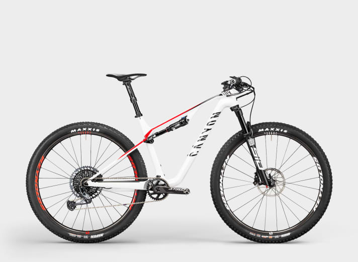   The highest quality Lux model with the CF frame and 110 mm fork for 4000 euros.