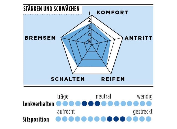 Stärken und Schwächen vom Liteville 4-One Mk2