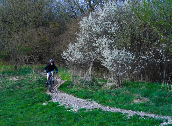 The geometry of the bike is well-balanced, fun both uphill and downhill and doesn't cause neck muscle tension even on longer rides.