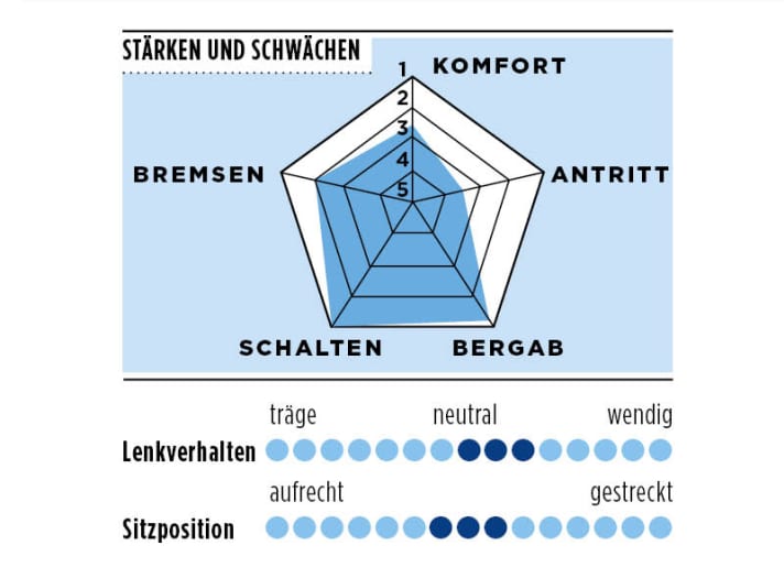 Stärken und Schwächen des Cube Agree C:62