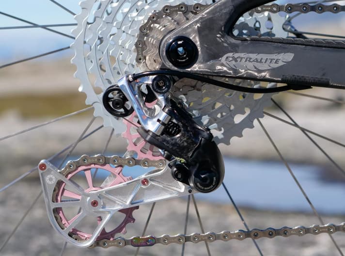 It's actually a Sram XX1 Eagle rear derailleur, but Dangerholm has replaced or modified the cage, rollers and some other parts on the Spark RC Hypersonic.