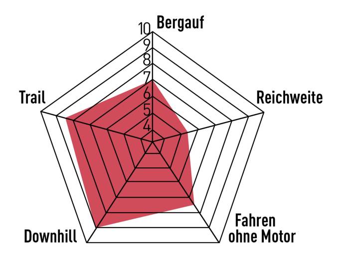 Bergab ist das Levo SL Comp Alloy in seinem Element. Bergauf lässt man es eher gemütlich angehen. 
Die Reichweite ist mit dem kleinen, fest verbauten Akku vergleichsweise schwach.