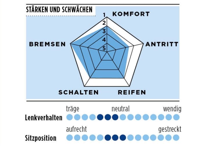 Stärken und Schwächen vom Rondo Ratt CF1