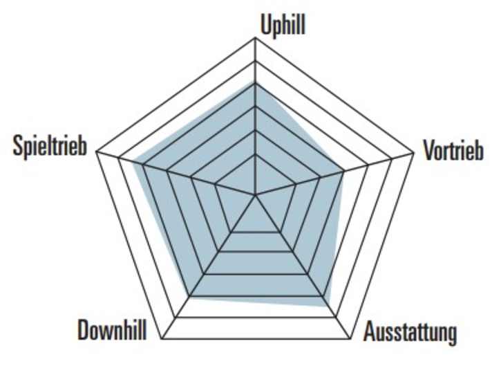 Das BIKE-Spinnendiagramm macht deutlich: Das Canyon Spectral CF7 bietet viel Bike fürs Geld. Bei über 15 Kilo gibt es allerdings spritzigere All Mountain Bikes.
