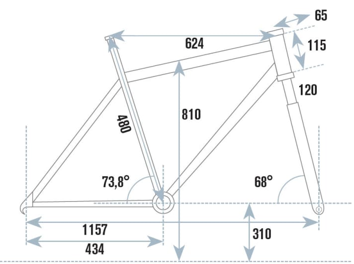   Die Geometrie des Scott Scale 710 Plus im Überblick