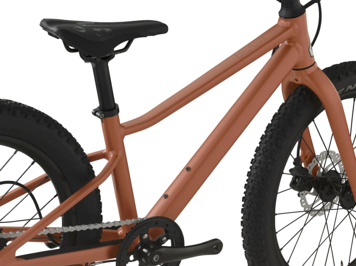 The slightly bent top tube is designed to keep the standover height as low as possible so that getting on and off the bike is easy.