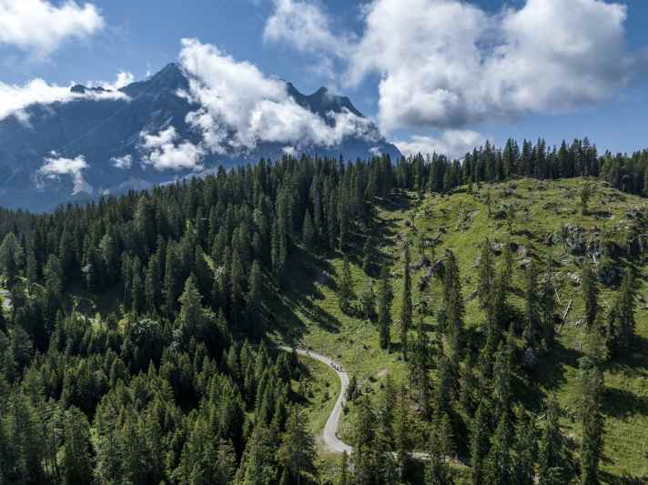Die urigen Waldwege waren eine wunderbare Abwechslung zu den alpinen Pfaden oberhalb der Baumgrenze.