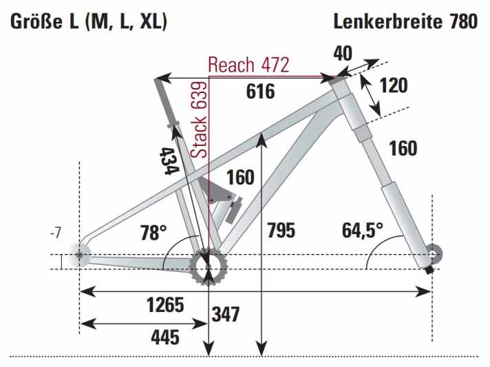BIKE-Messung des Raymon Tarok 2025 in Rahmengröße L.