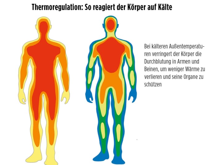 tour/Thermoregulation_414760fd2e732ae60d09db1d1253977f