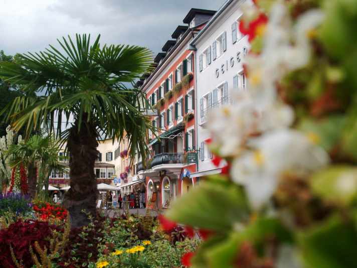 Mediterranes Flair verströmt der Hauptplatz in Lienz mit seiner Blütenpracht und den Palmen. Von hier starten die Sterntouren.